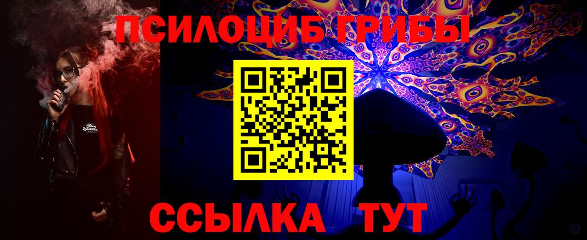 Галлюциногенные грибы Psilocybe Губаха