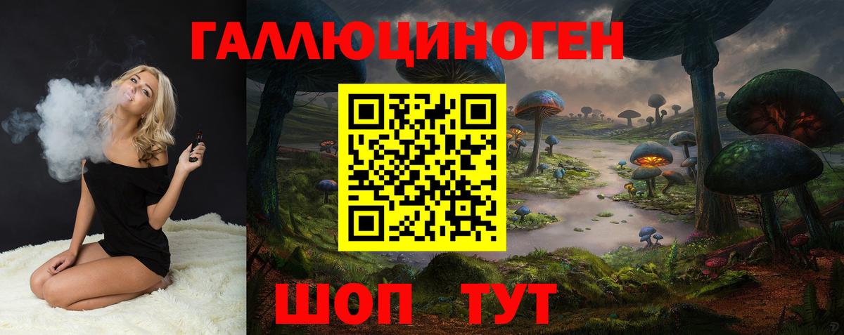 Губаха  Псилоцибиновые грибы Psilocybine cubensis  Вход с VPN 